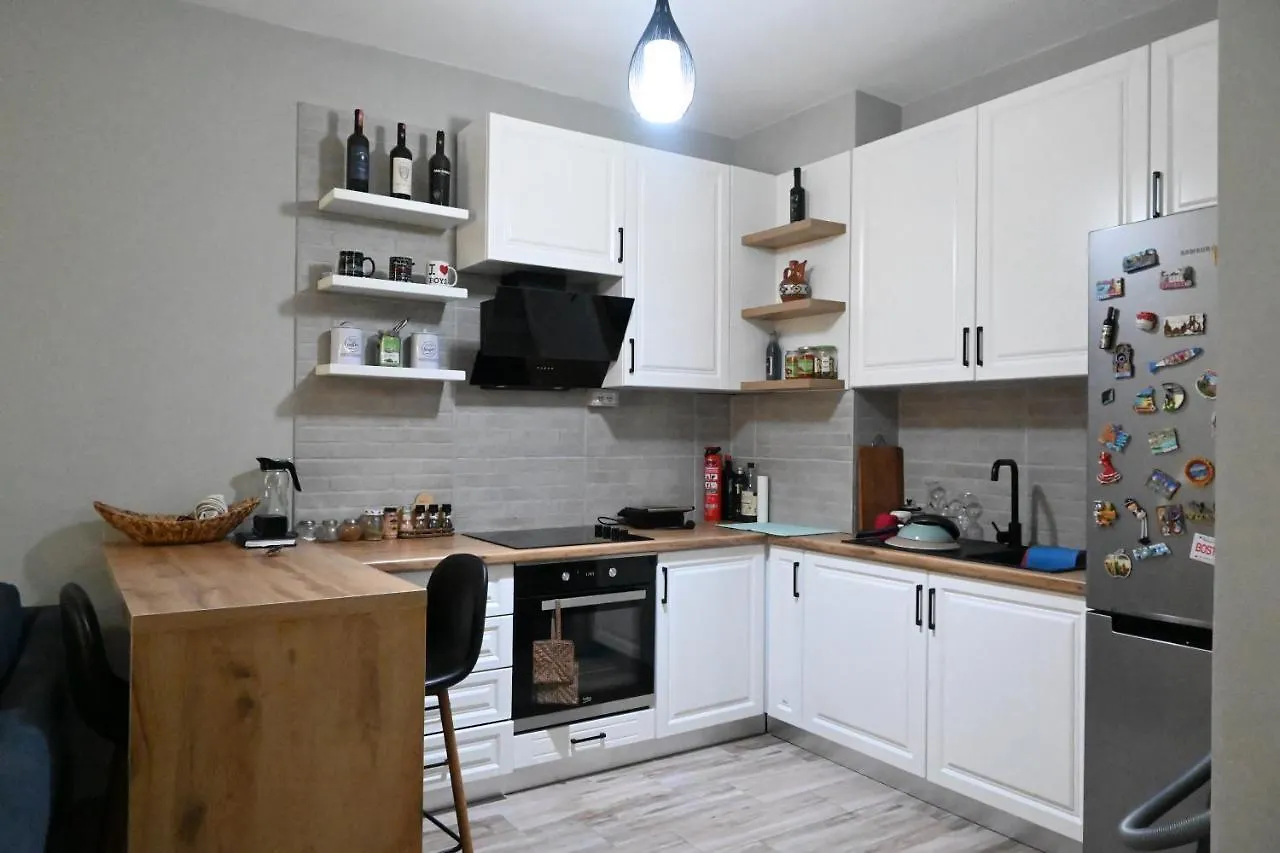 Cozy Apartament In Tirana Lägenhet